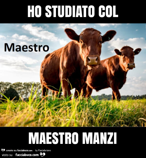 Vaccata