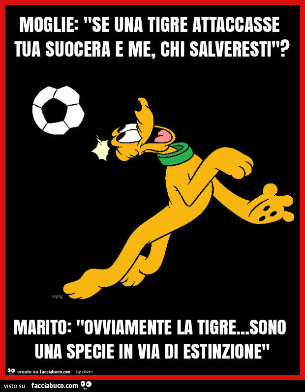 Moglie: "se una tigre attaccasse tua suocera e me, chi salveresti"? Marito: "ovviamente la tigre… sono una specie in via di estinzione"