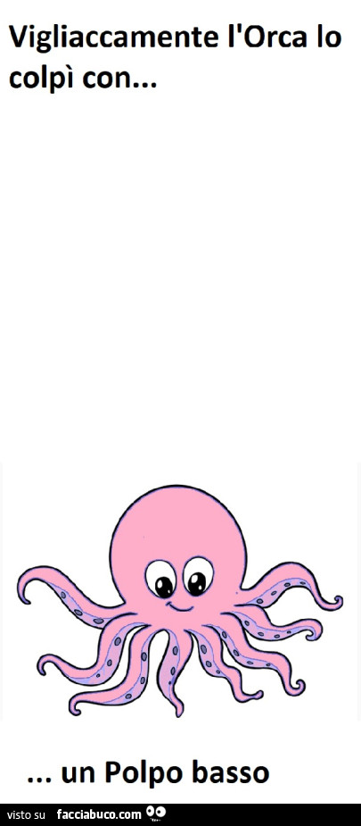Vigliaccamente l'orca lo colpì con&hellip; un polpo basso