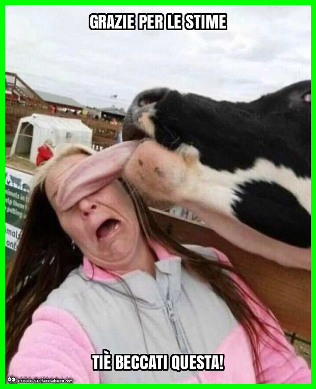 Grazie per le stime tiè beccati questa