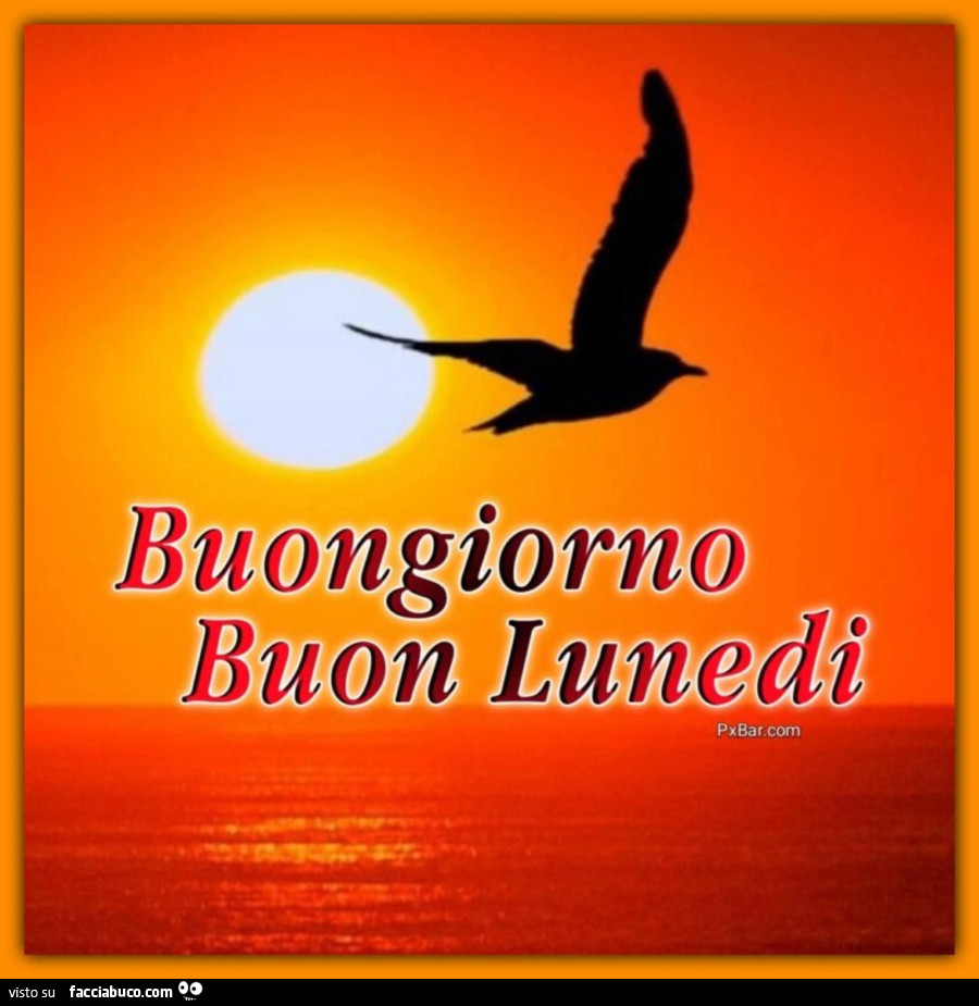 Buongiorno buon lunedì