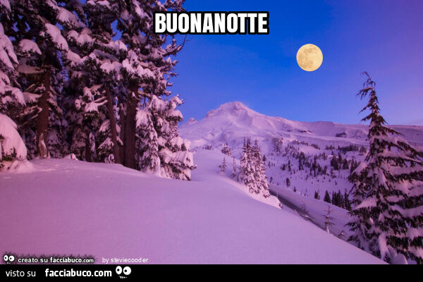 Buonanotte