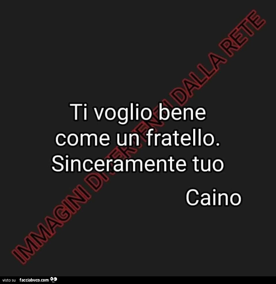 Ti voglio bene come un fratello. Sinceramente tuo Caino