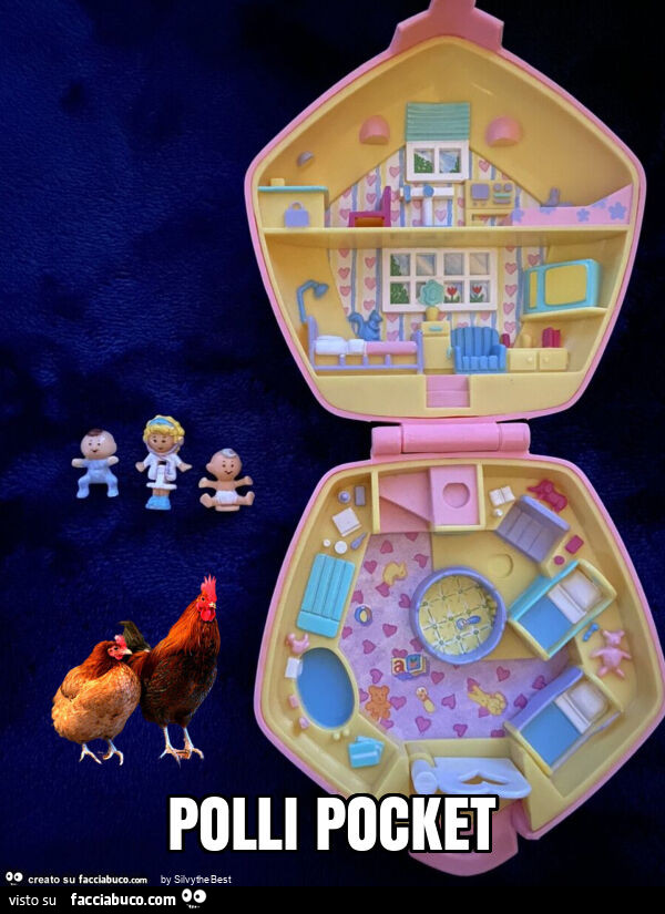 Polli pocket