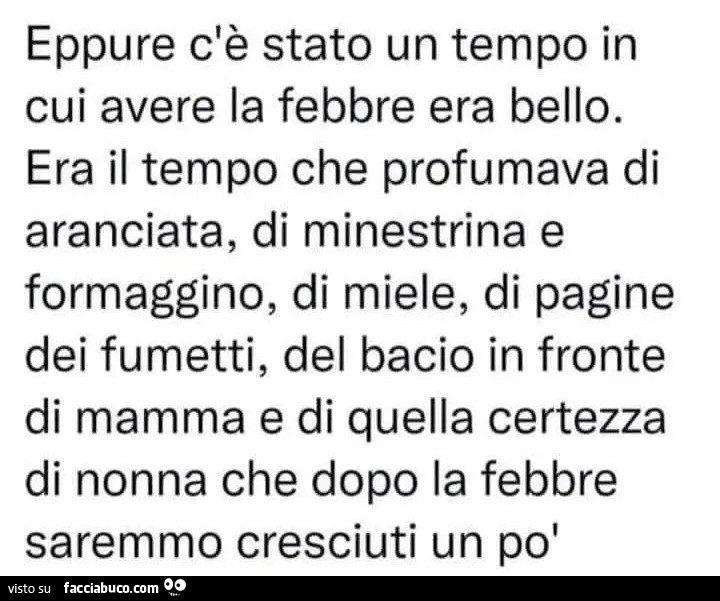 Eppure c'è stato un tempo in cui avere la febbre era bello. Era il tempo che profumava di aranciata, di minestrina e formaggino, di miele, di pagine dei fumetti, del bacio in fronte di mamma e di quella certezza di nonna che dopo la febbre saremmo cr