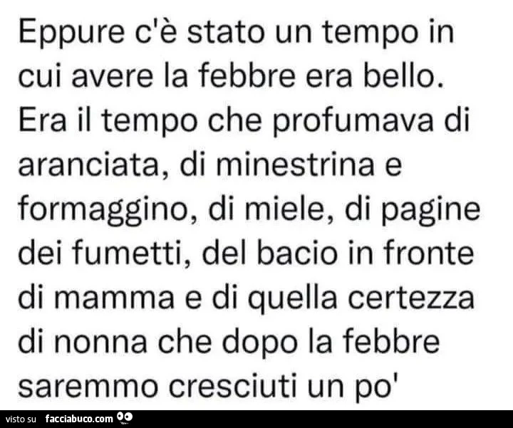 Eppure c'รจ stato un tempo in cui avere la febbre era bello. Era il tempo che profumava di aranciata, di minestrina e formaggino, di miele, di pagine dei fumetti, del bacio in fronte di mamma e di quella certezza di nonna che dopo la febbre saremmo cr