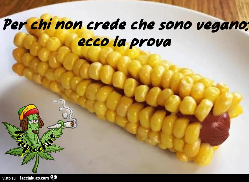 Vaccata