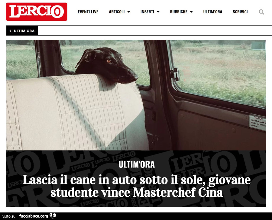 Vaccata