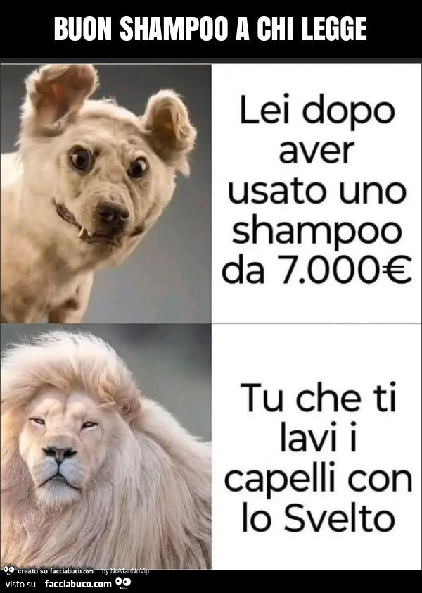 Buon shampoo a chi legge