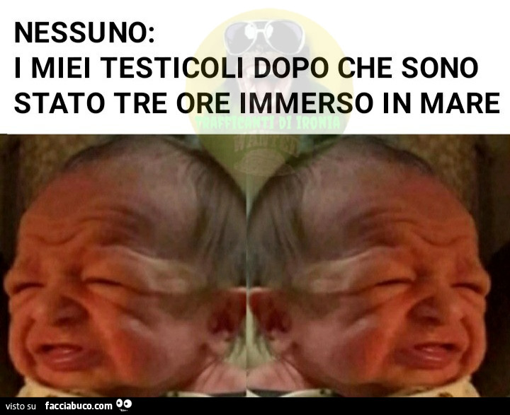 Nessuno i miei testicoli dopo che sono stato tre ore immerso in mare