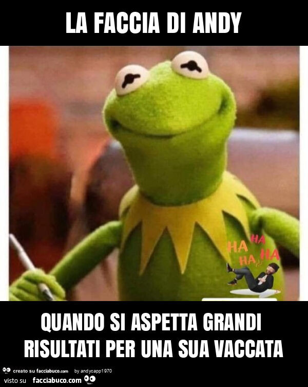 La faccia di andy quando si aspetta grandi risultati per una sua vaccata