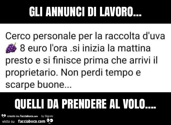 Gli annunci di lavoro… quelli da prendere al volo