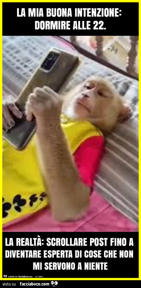 La mia buona intenzione: dormire alle 22. La realtร : scrollare post fino a diventare esperta di cose che non mi servono a niente