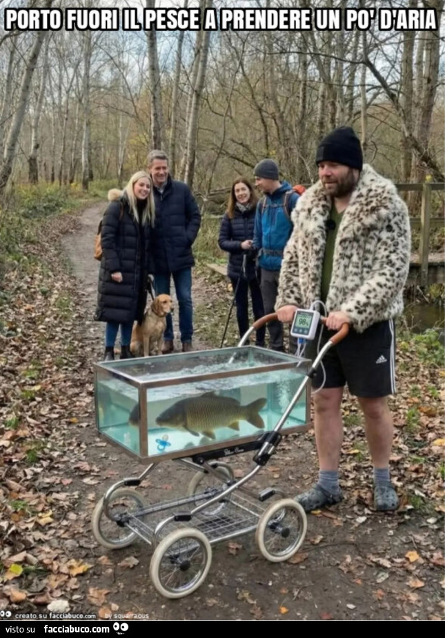 Porto fuori il pesce a prendere un d'aria