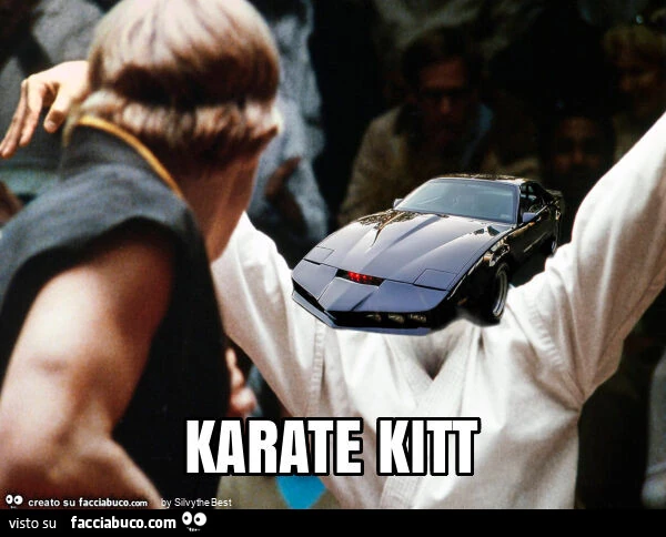 Karate kitt