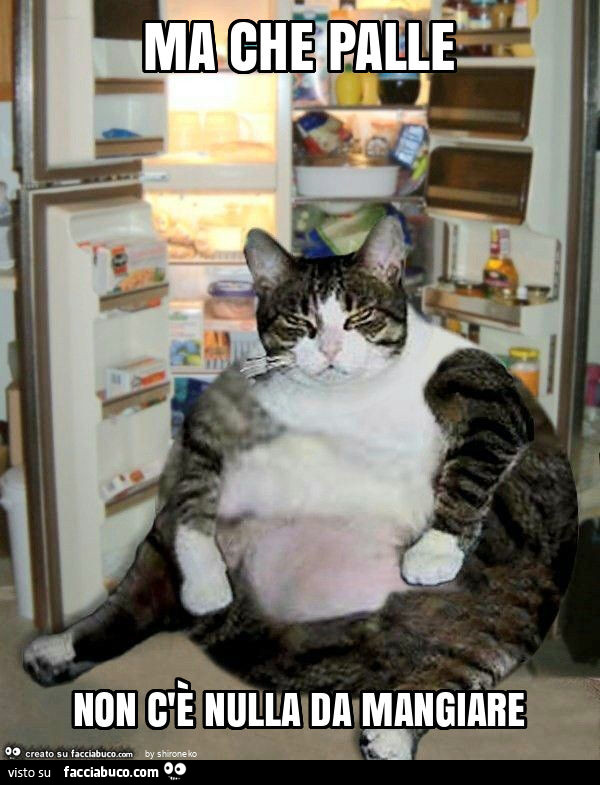 Ma che palle non c'È nulla da mangiare