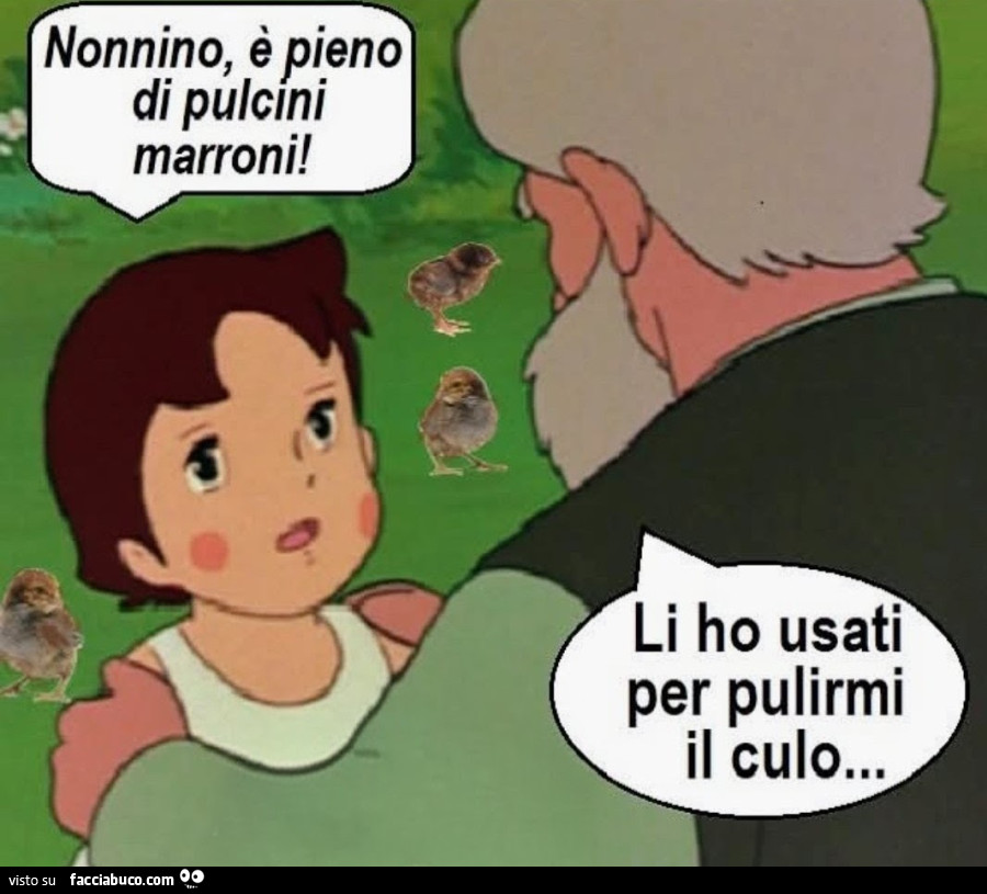 Pulcini