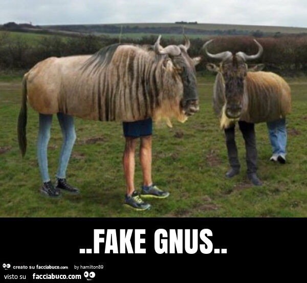 Fake gnus