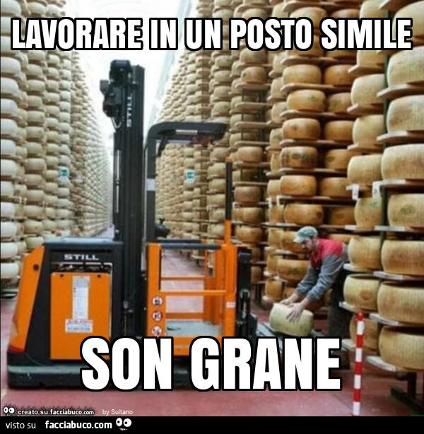Lavorare in un posto simile son grane