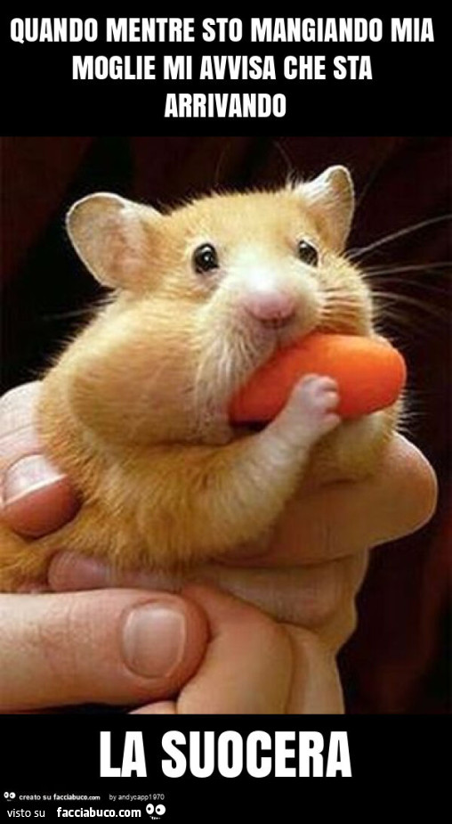 Quando mentre sto mangiando mia moglie mi avvisa che sta arrivando la suocera