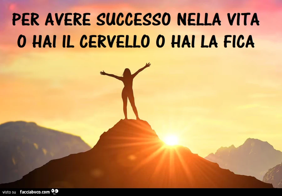 Per avere successo nella vita o hai il cervello o hai la fica