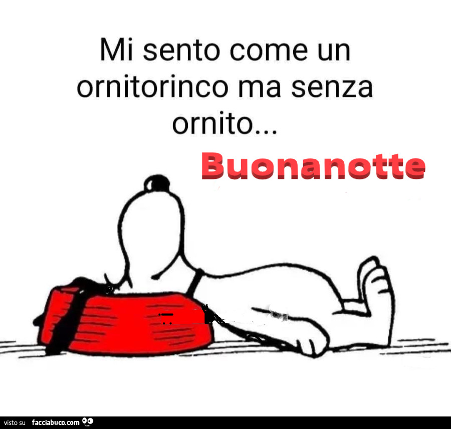 Mi sento come un ornitorinco ma senza ornito… buonanotte