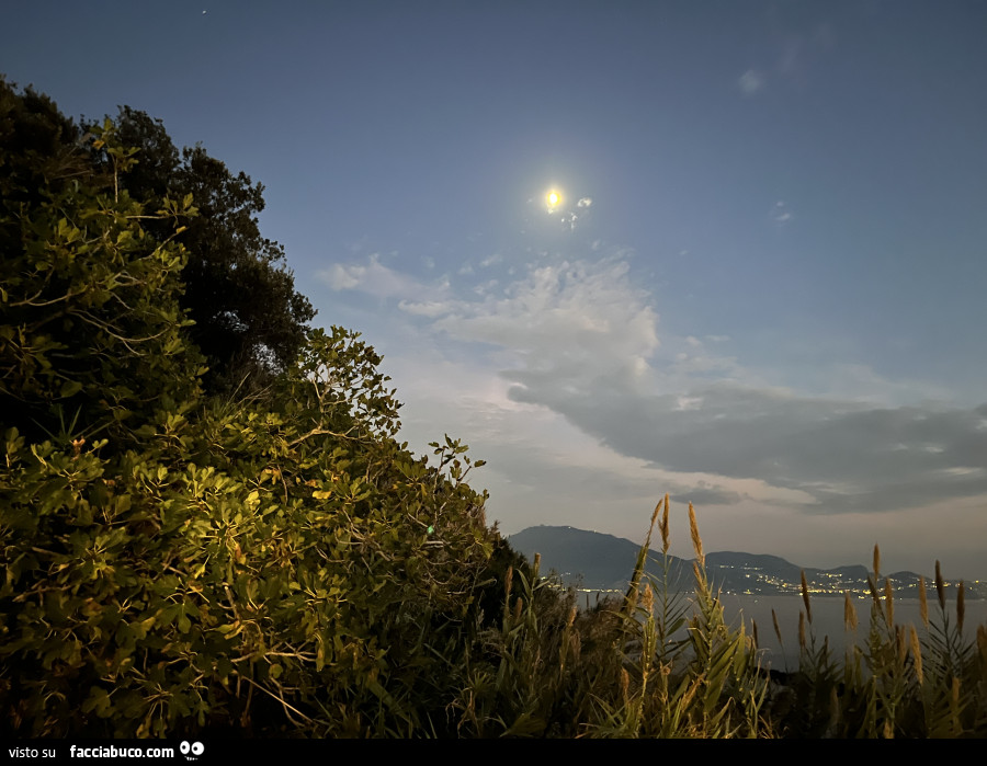 Buonanotte di Halloween