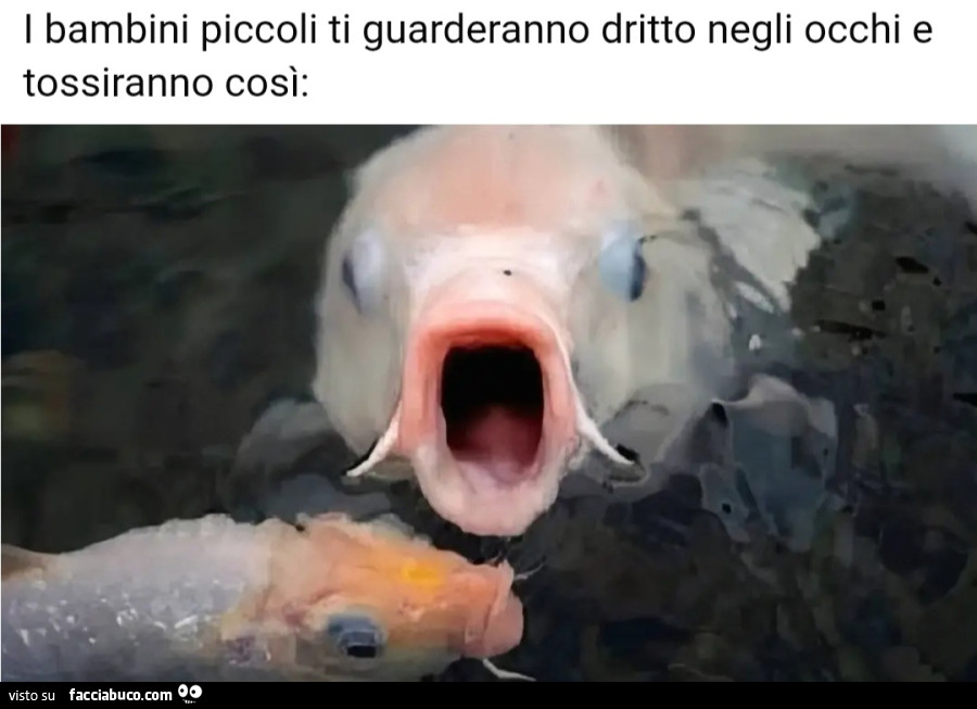 I bambini piccoli ti guarderanno dritto negli occhi e tossiranno così pesci