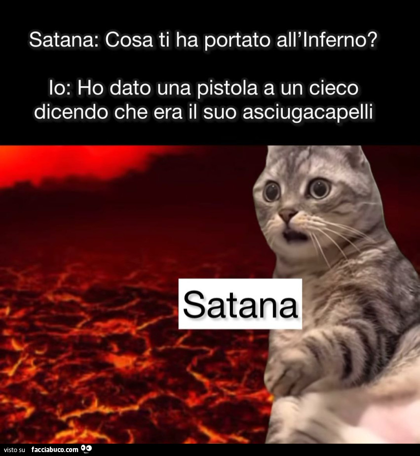 Vaccata