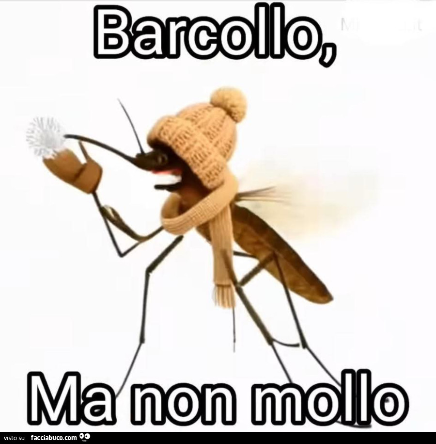 Barcollo, ma non mollo