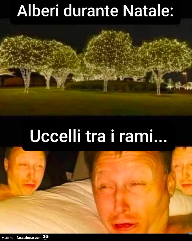 Luci natalizie e uccelli