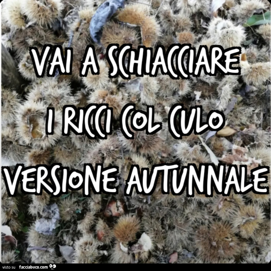 Vai a schiacciare i ricci col culo versione autunnale