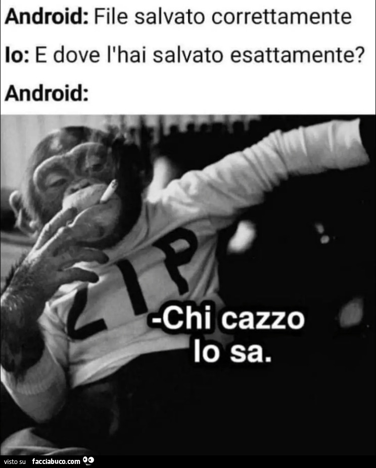 Android file salvato correttamente io e dove l'hai salvato esattamente chi cazzo lo sa