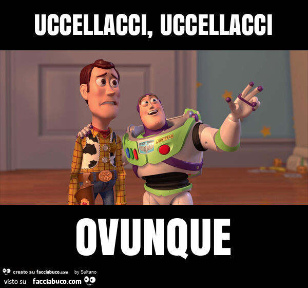 Uccellacci, uccellacci ovunque