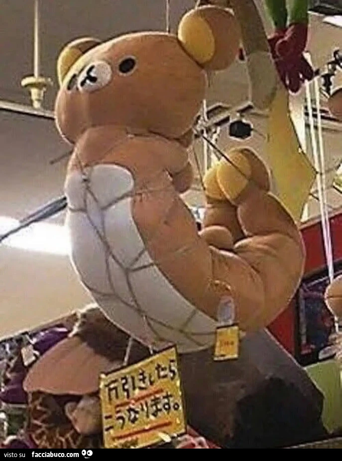 Orsetto peluche bondage