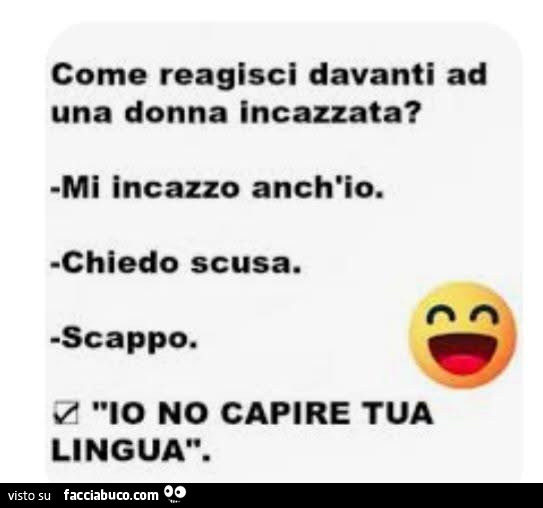 Come reagisci davanti ad una donna incazzata? Mi incazzo anch'io. Chiedo scusa. Scappo. Io no capire tua lingua