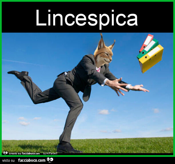 Lincespica
