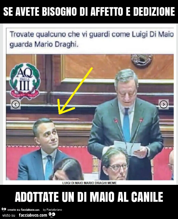 Se avete bisogno di affetto e dedizione adottate un di maio al canile