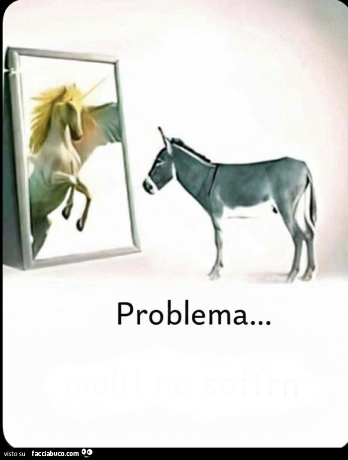 Asino che si guarda allo specchio e vede un Unicorno. Problema