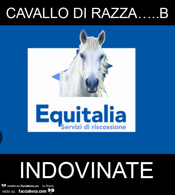 Cavallo di razza… . B indovinate