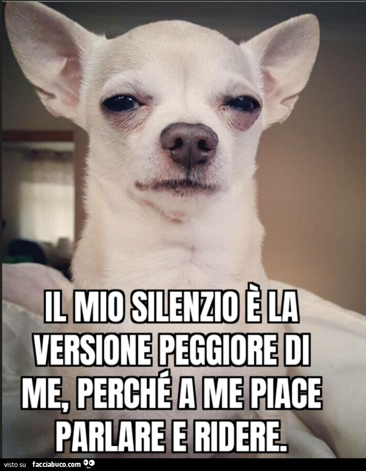 Il mio silenzio è la versione peggiore di me, perché a me piace parlare e ridere