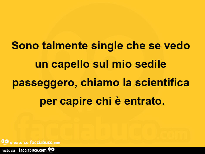 Sono talmente single che se vedo un capello sul mio sedile passeggero, chiamo la scientifica per capire chi è entrato