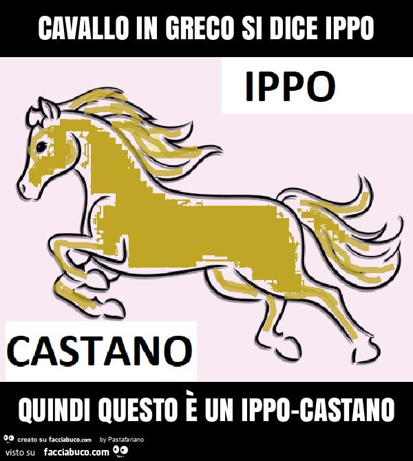 Cavallo in greco si dice ippo quindi questo è un ippo-castano