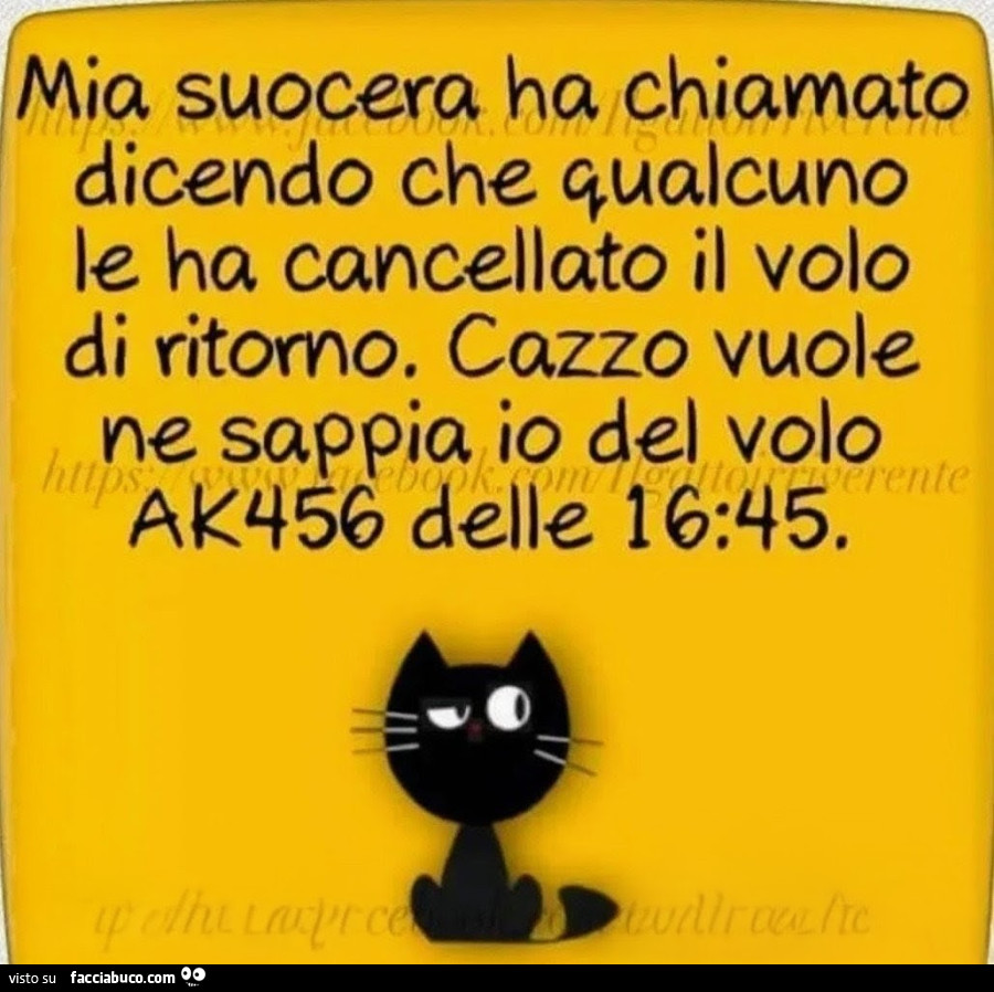 Mia suocera ha chiamato dicendo che qualcuno le ha cancellato il volo di ritorno. Cazzo vuole ne sappia io del volo aka56 delle 16.45