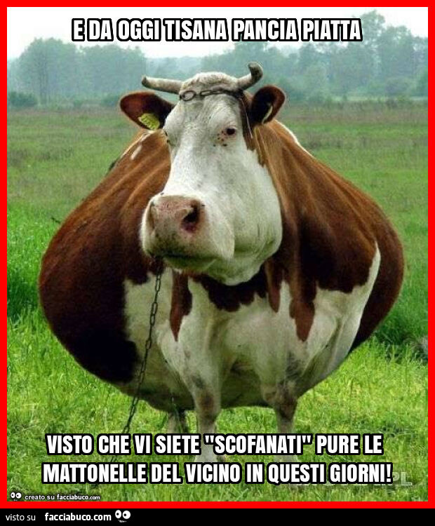 E da oggi tisana pancia piatta visto che vi siete "scofanati" pure le mattonelle del vicino in questi giorni