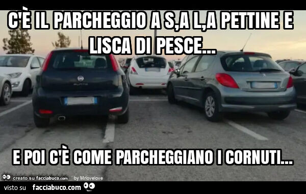 C'è il parcheggio a s, a l, a pettine e lisca di pesce&hellip; e poi c'è come parcheggiano i cornuti