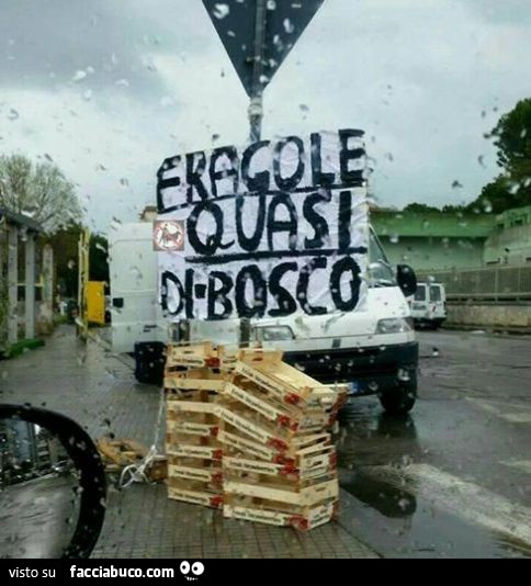 Fragole
