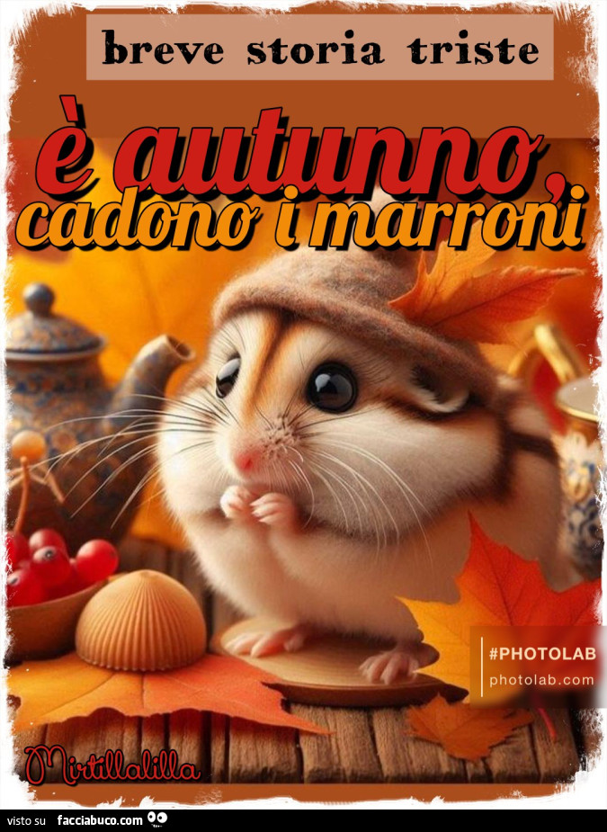 Cadono i marroni