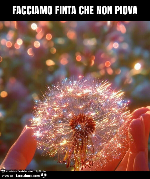 Facciamo finta che non piova