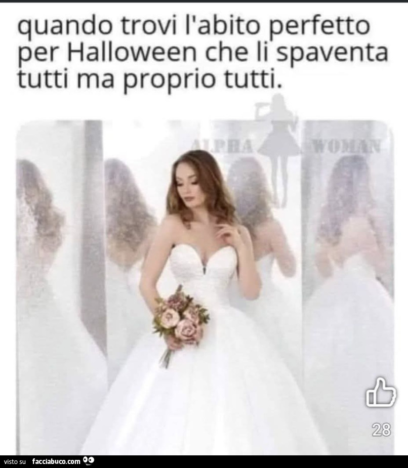 Quando trovi l'abito perfetto per halloween che li spaventa tutti ma proprio tutti